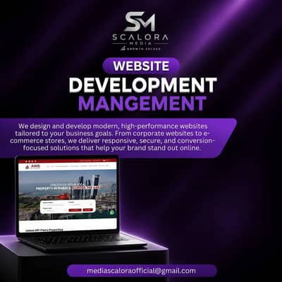 Professional Website Development Services