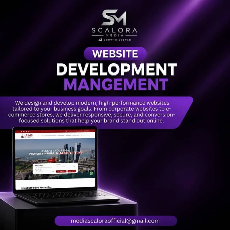 Professional Website Development Services 0