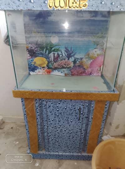 Complete Beautiful Aquarium