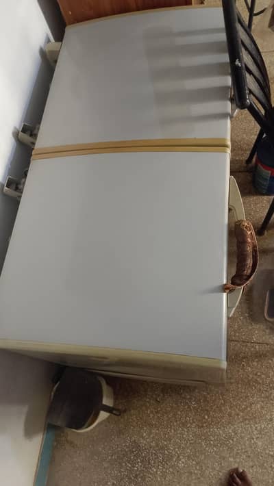 waves 2 door deep freezer