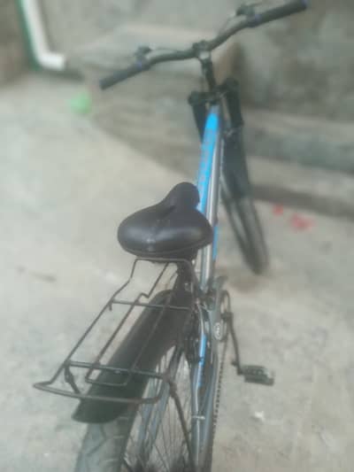 Condition 10/10 hai