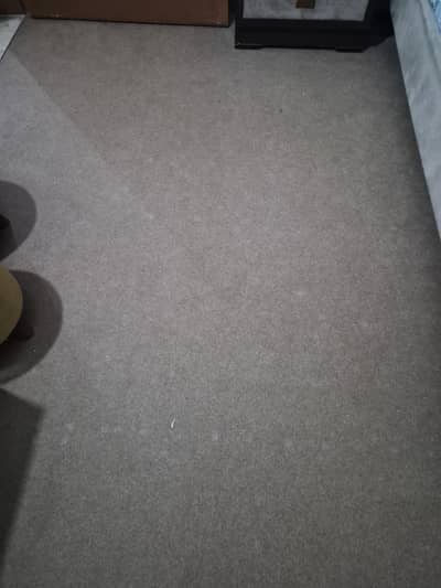 home used Room carpet