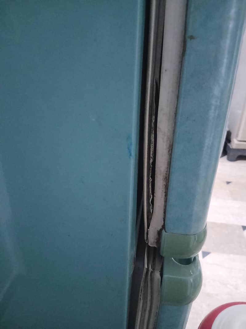Fridge 2