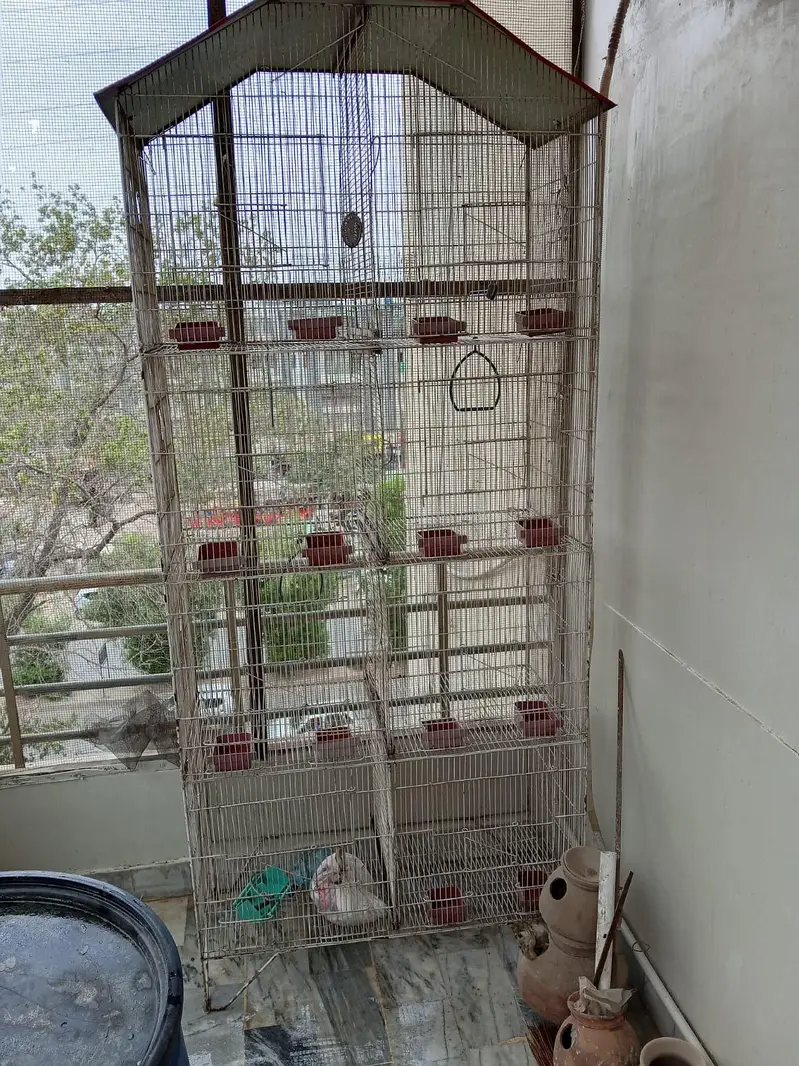 cage for sale