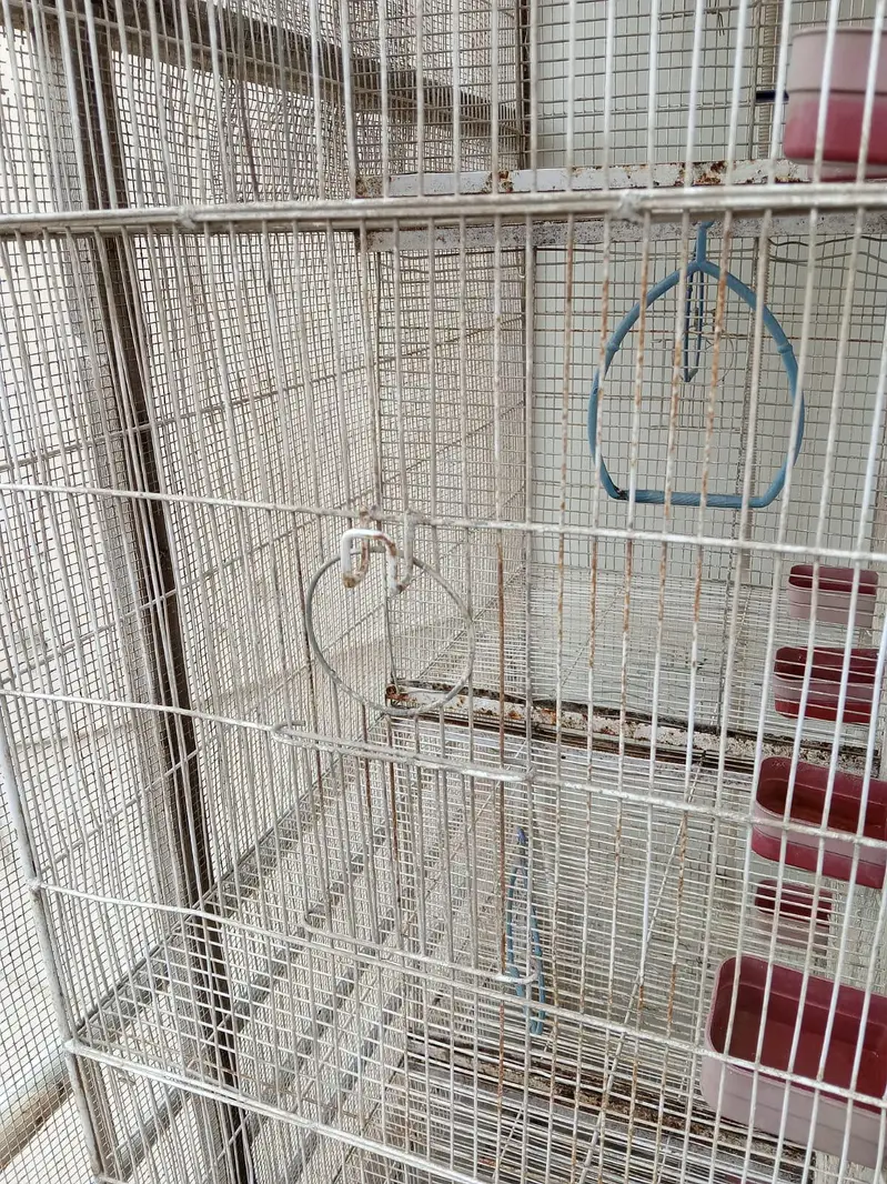 cage for sale — photo 3