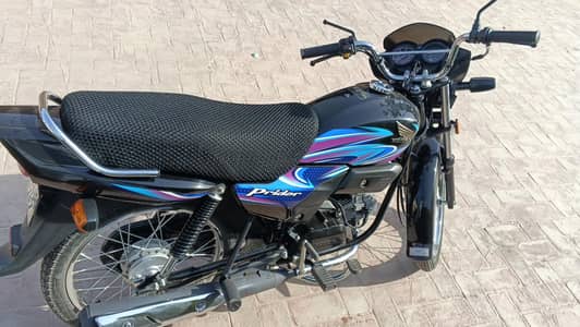 pridor 2026 10 by 10 black clr