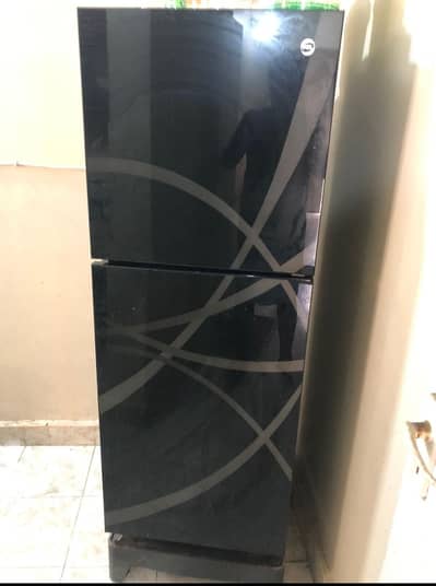PEL Glass Door Refrigerator Excellent condition