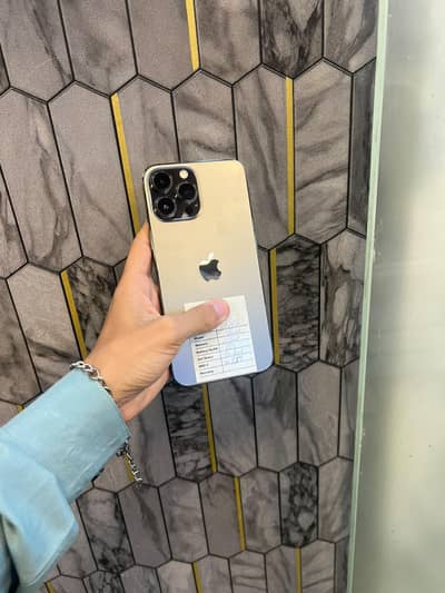 Apple iPhone 13 Pro Max