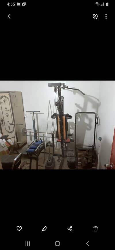 Gym equipment