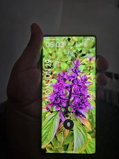 Google Pixel 6 Pro