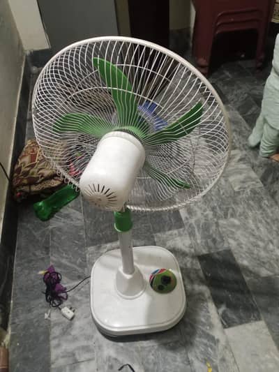 pdistal fan