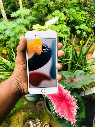 Iphone 7plus PTA approved 128gb My Whatsapp number 0320-19-06-573