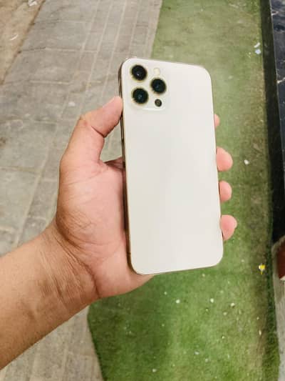 Apple iPhone 12 Pro Max