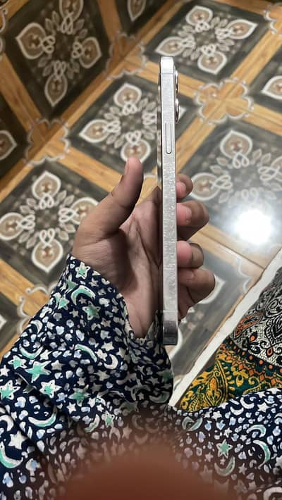 Iphone 12 pro max panel off