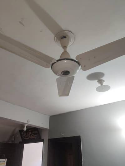 pak ceiling fan original