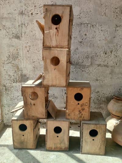 lovebirds Breeding boxes and khudelia for sale Whatsapp no 03413232265