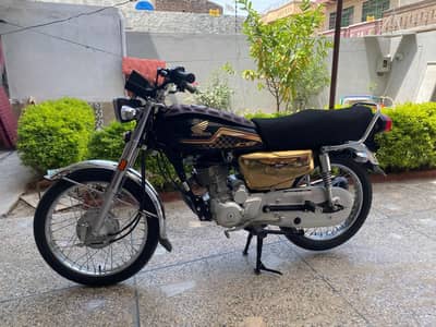 125 golden edition 2024