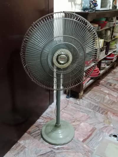 padister fan original