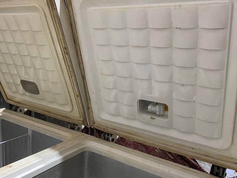 waves deep freezer 1
