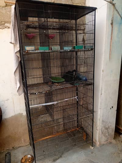 budgie iron cage
