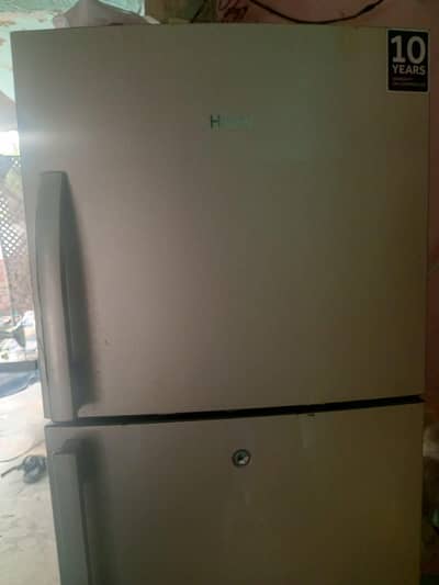 frige