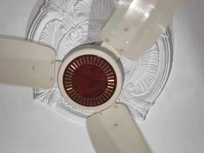 GFC ceiling fan 56 inch