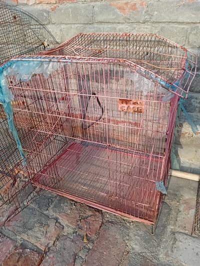 iron cage