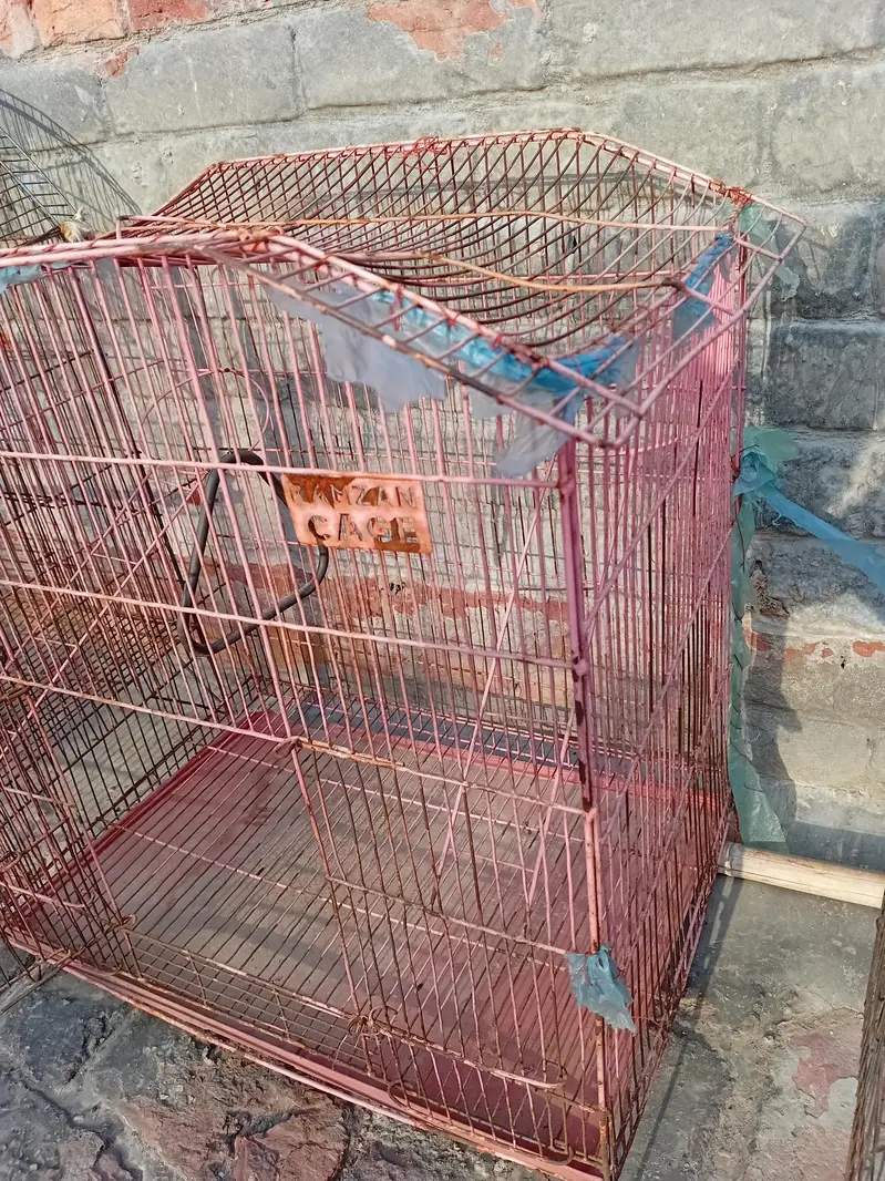 iron cage — photo 2