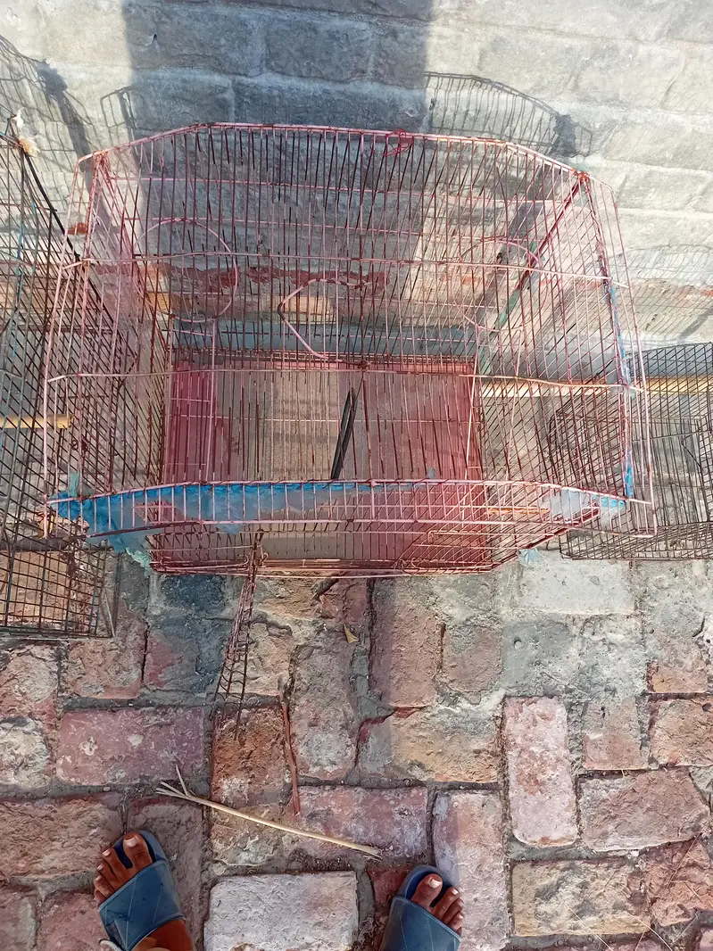 iron cage — photo 3