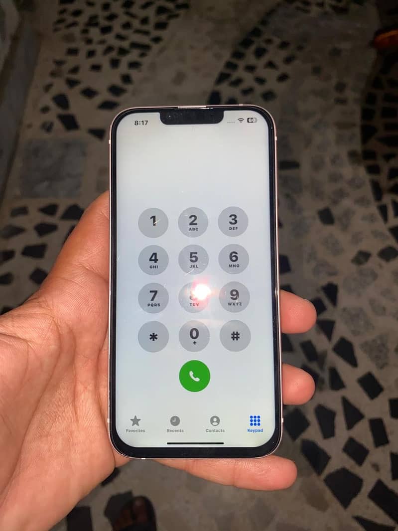 Apple iPhone 13 0