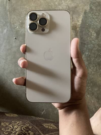 Apple iPhone 13 Pro Max