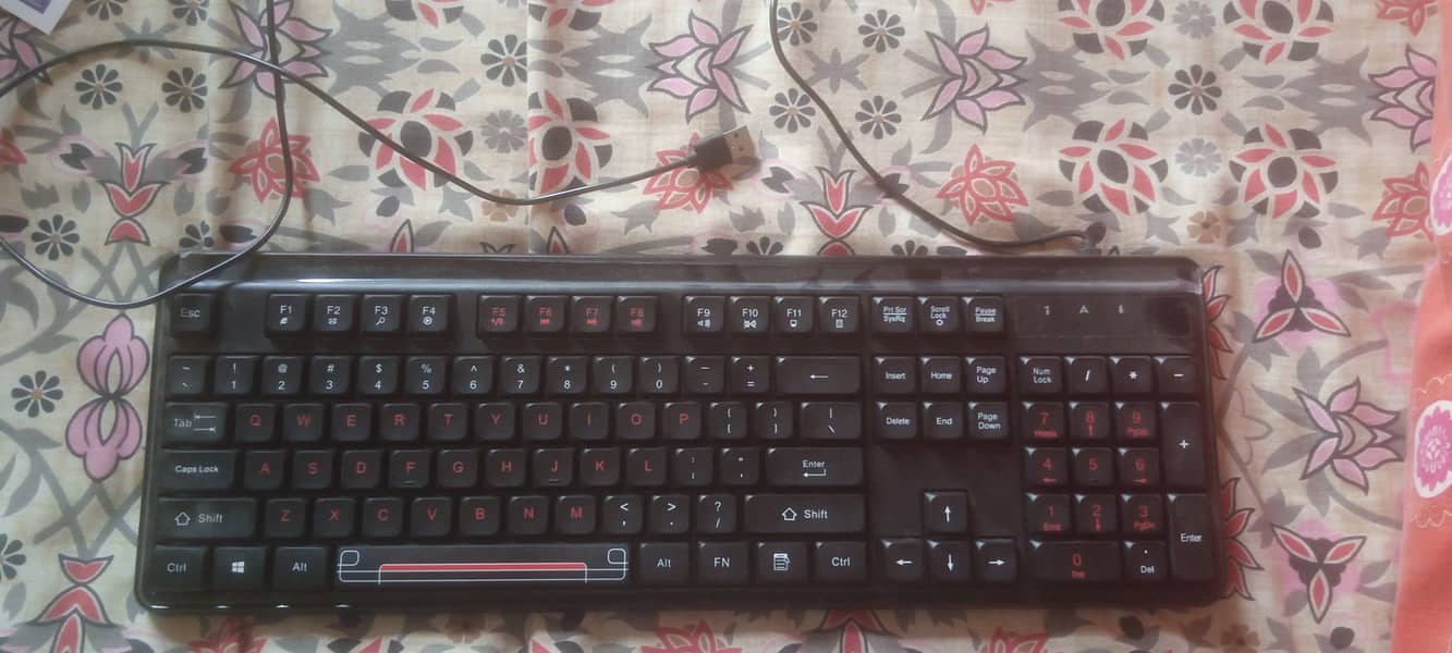 Wired Keyboard 1