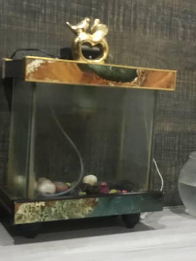Fish aquarium for sale
