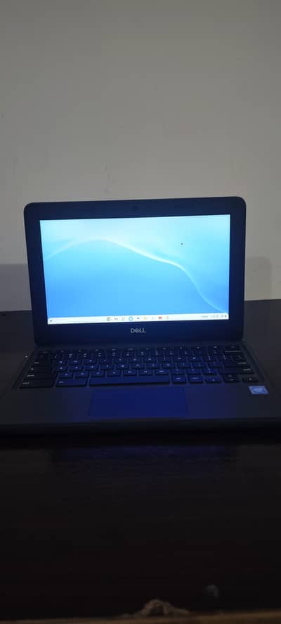 Dell 3100 Chromebook