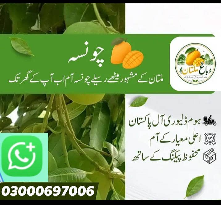 multani mango 1