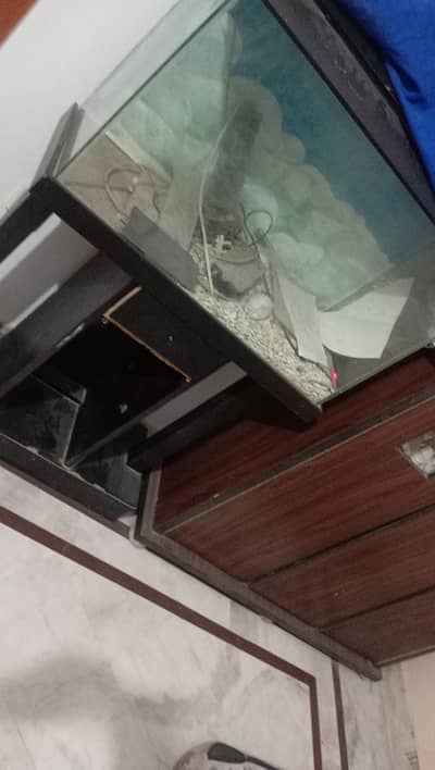 aquarium argent sale two years use