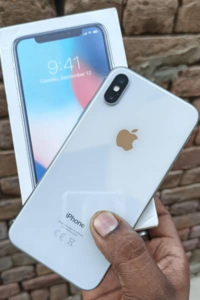 Apple iPhone X