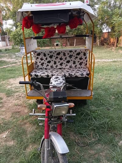2019 model Rickshaw