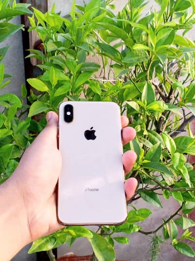 Apple iPhone XS Non PTA