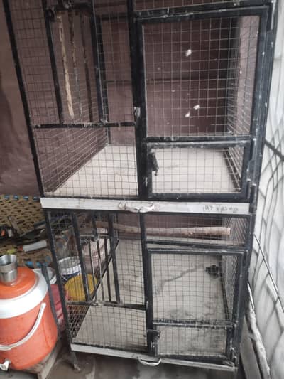 parrot house aquarium