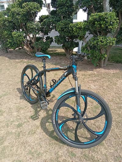 New Cycle
