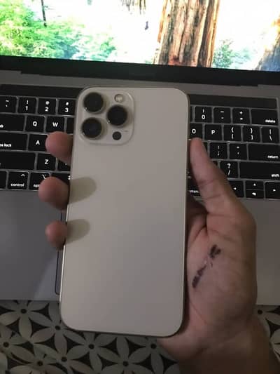 Apple iPhone 13 Pro Max