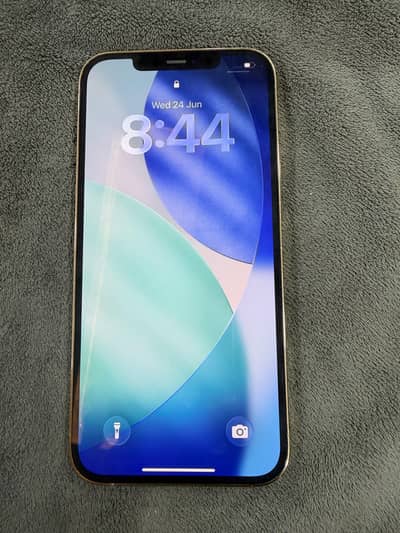 Apple iPhone 12 Pro Max