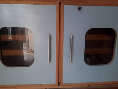 Fully Automatic Incubator with 200 eggs capacity