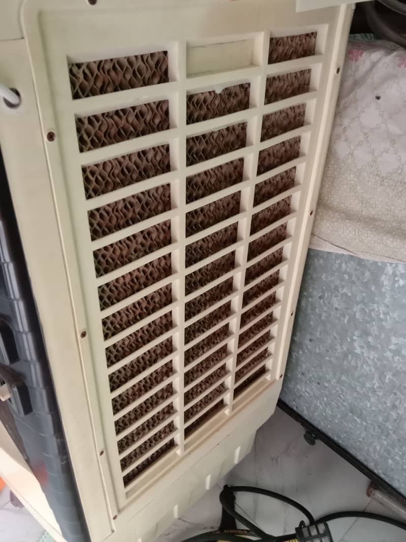 Rays AirCooler 1