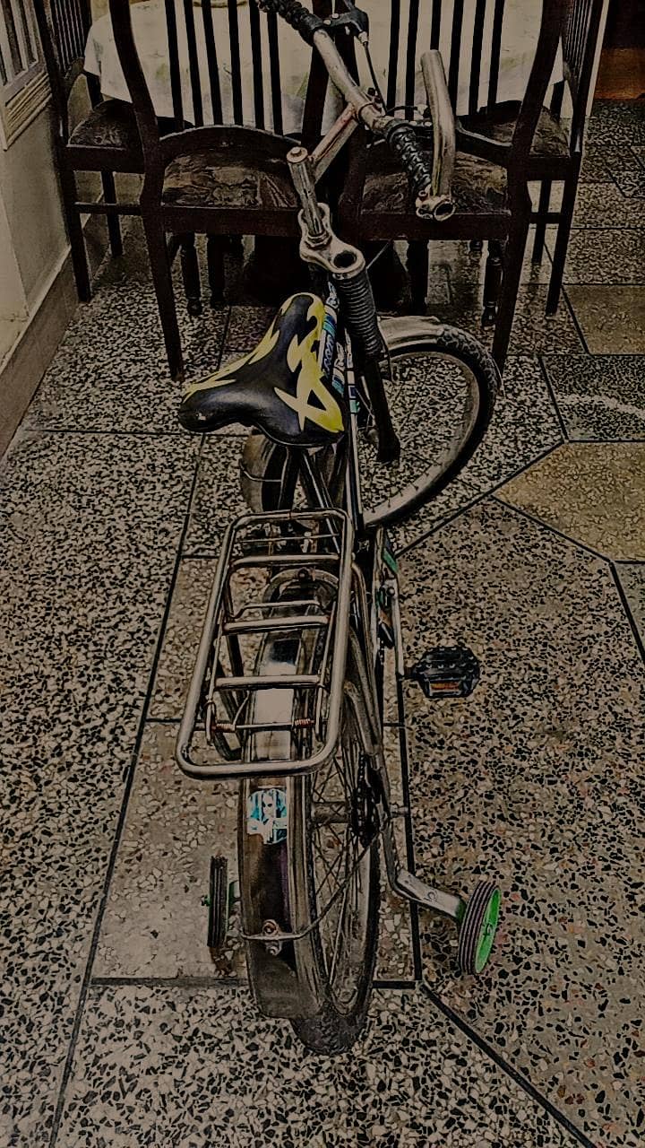 Bicycle 2