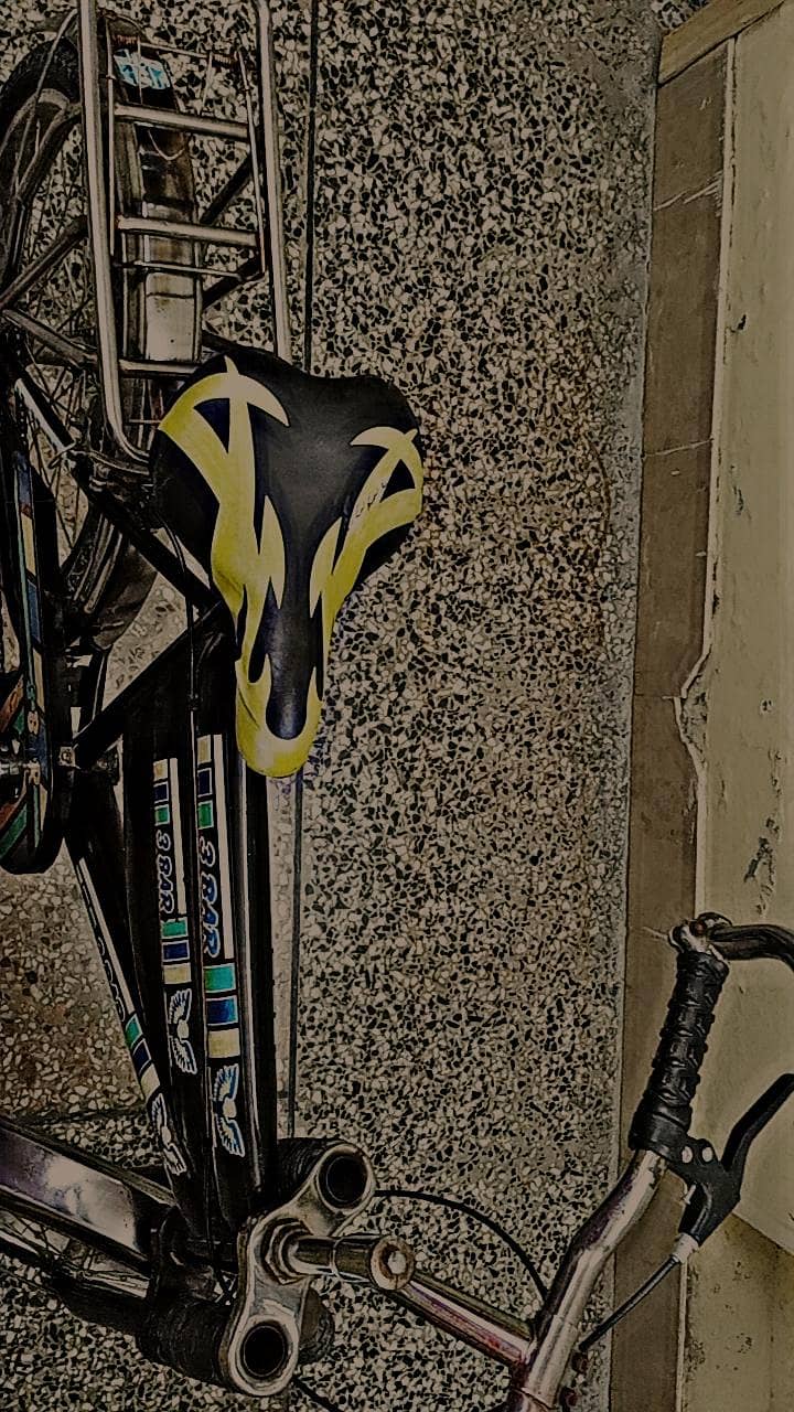 Bicycle 4