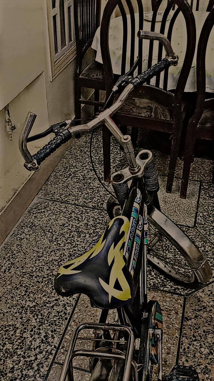 Bicycle 6