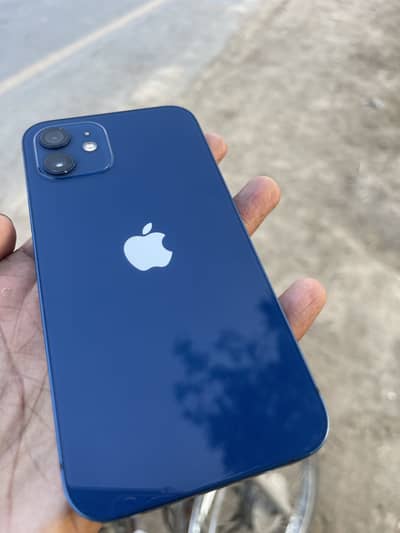 iPhone 12