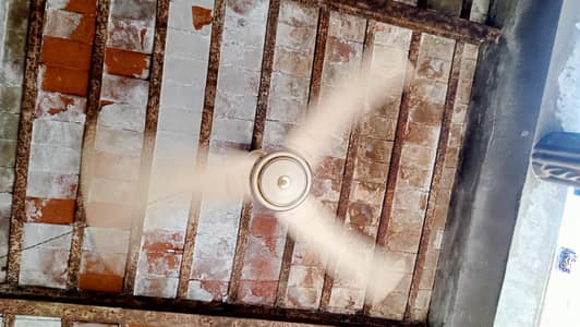 Fan Total orreigonal hai Pure Coper wiring